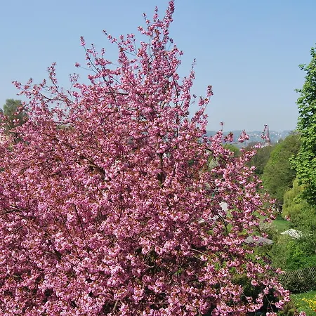 شقة ميسفونونغ أوغيستا وبرتال