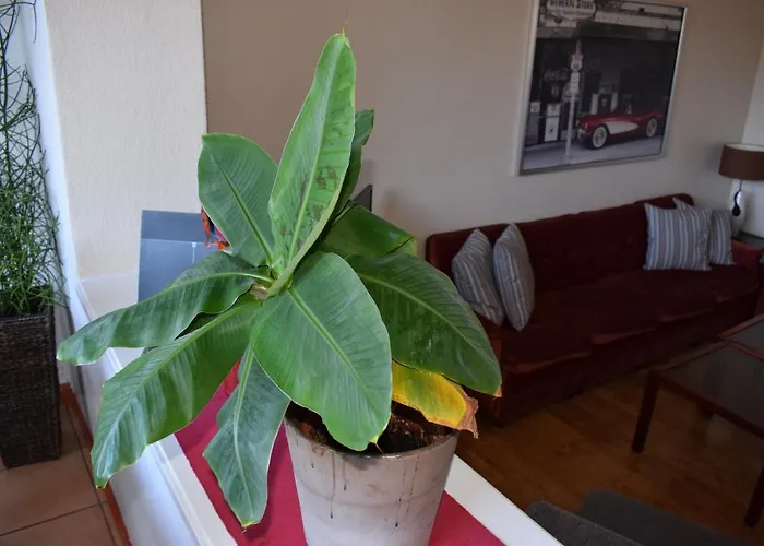 Messewohnung Augusta Wuppertal