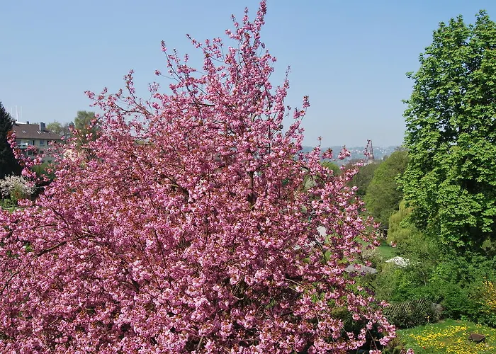 Διαμέρισμα Messewohnung Augusta Βούρπεταλ